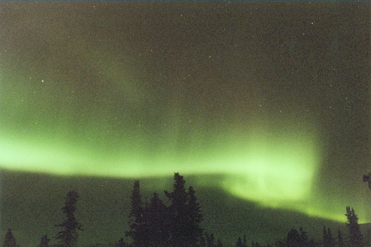 The Northern Lights