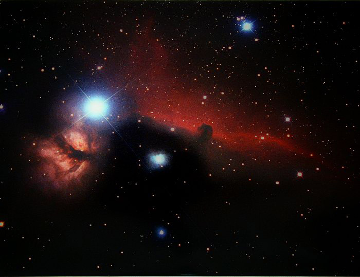 Horsehead and Flame Nebula