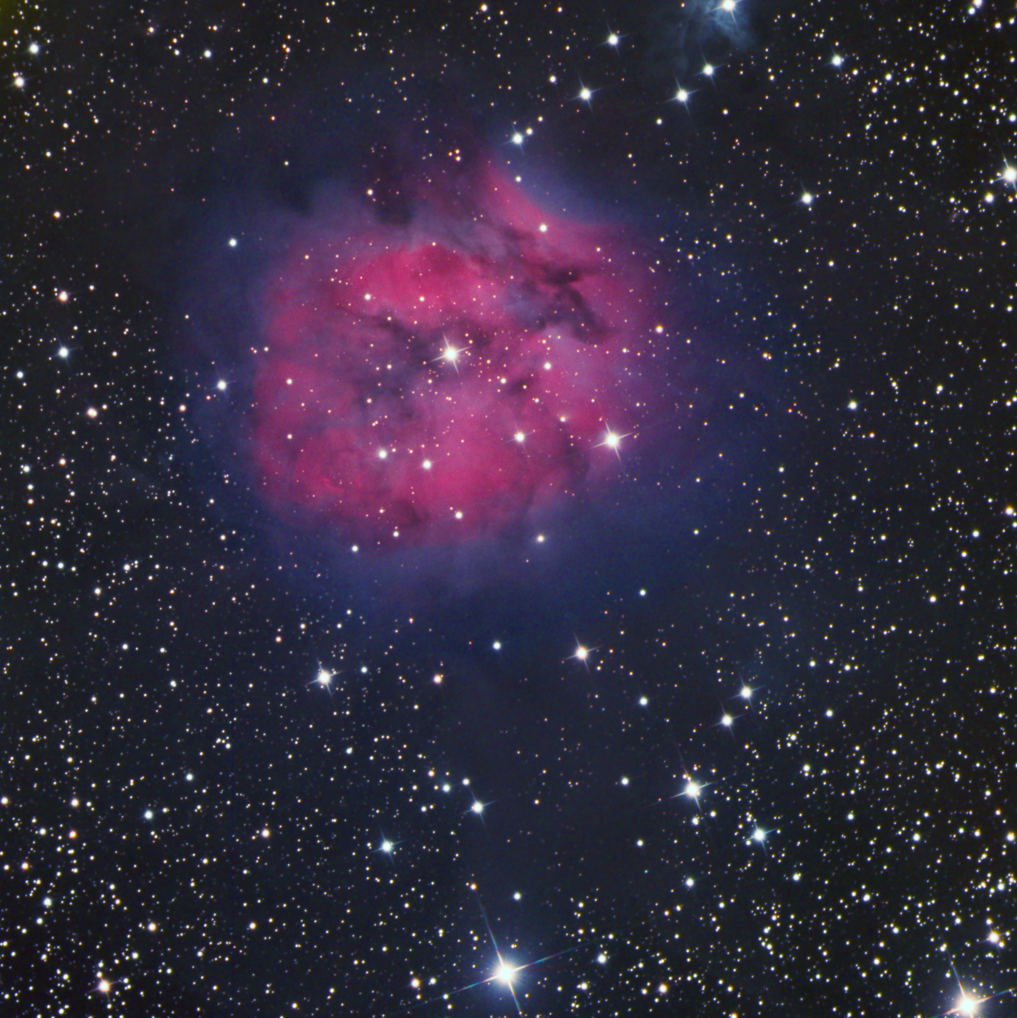 The Cocoon Nebula