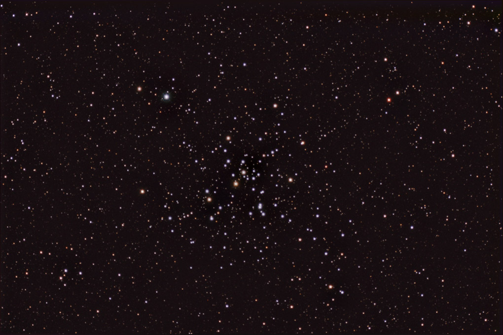 M41