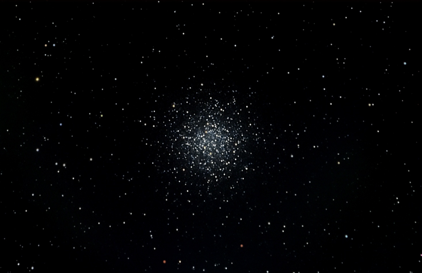 M55